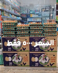 بيض عراقي • بيض خشن • طبقة بيض