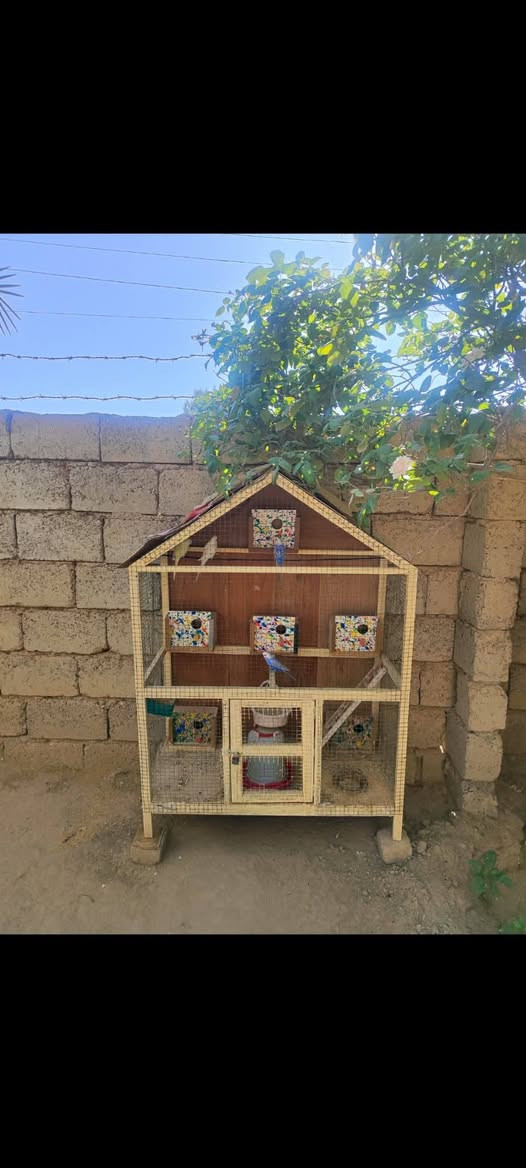 اقفاص للبيع
واحد حديد75الف
واحد خشب40الف
المكان قضاء الشرقاط
‏‪***********
