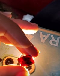 شفة العبد يماني • كرزي طبيعي • طول ١٫٥سم