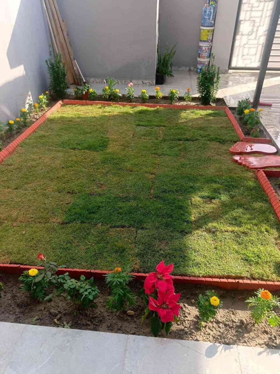 كرار تصميم الحدائق ومعلجه الرضه مستعدون الى كافه انواع الحدائق يوجد الدينا كادر متخصص في تقليم الشجار وترتيب الحدائق ***********
