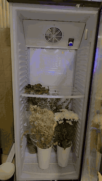 عارضات تصير للورد وللاسواق مابيهم اي شي استخدام شهرين فقط سبب البيع اريد اكبر المشروع واسوي تبريد مركزي 
للتواصل واتساب ***********
العنوان البصرة
