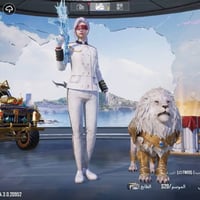 الموصل • ٦١ سلاح • ٥ بدلات اكس