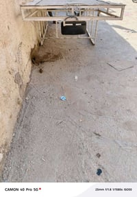 07864584833 البيع