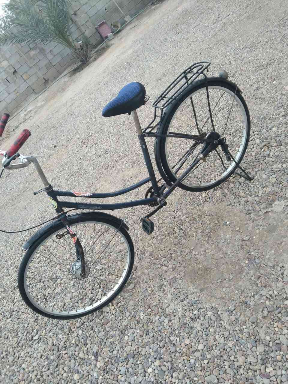 سلام عليكم باسكل حجم 26 للبيع السعر 60 وبي مجال المكان بغداد المحموديه حي العسكري الرقم ***********
