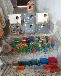 ٦٠ قطعة • شلع مكاني • ايسر قادسية الاولى