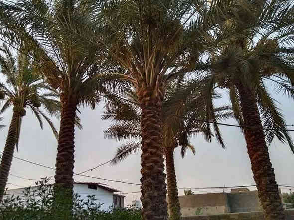 دار للايجار مساحته 600متر🟥 نظيف 🟦 يحتوي على ثلاثة غرف نوم وهول ومطبخ واستقبال وصحيات داخلية وخارجية وگراچ كبير جدا وحديقة كبيرة جدا 🟥
الأرضية والجدران سيراميك 🟦
سعر الايجار //((250). الف 
العنوان// كوت --حي الحكيم الاولى- شارع گاله 🟦
للاستفسار الاتصال على الارقام التاليه ⬇️⬇️
📳📳*********** 📳📳
📳📳*********** 📳📳
📳📳*********** 📳📳
مكتب دلالية اهل الديرة للعقار 🏨🏨
