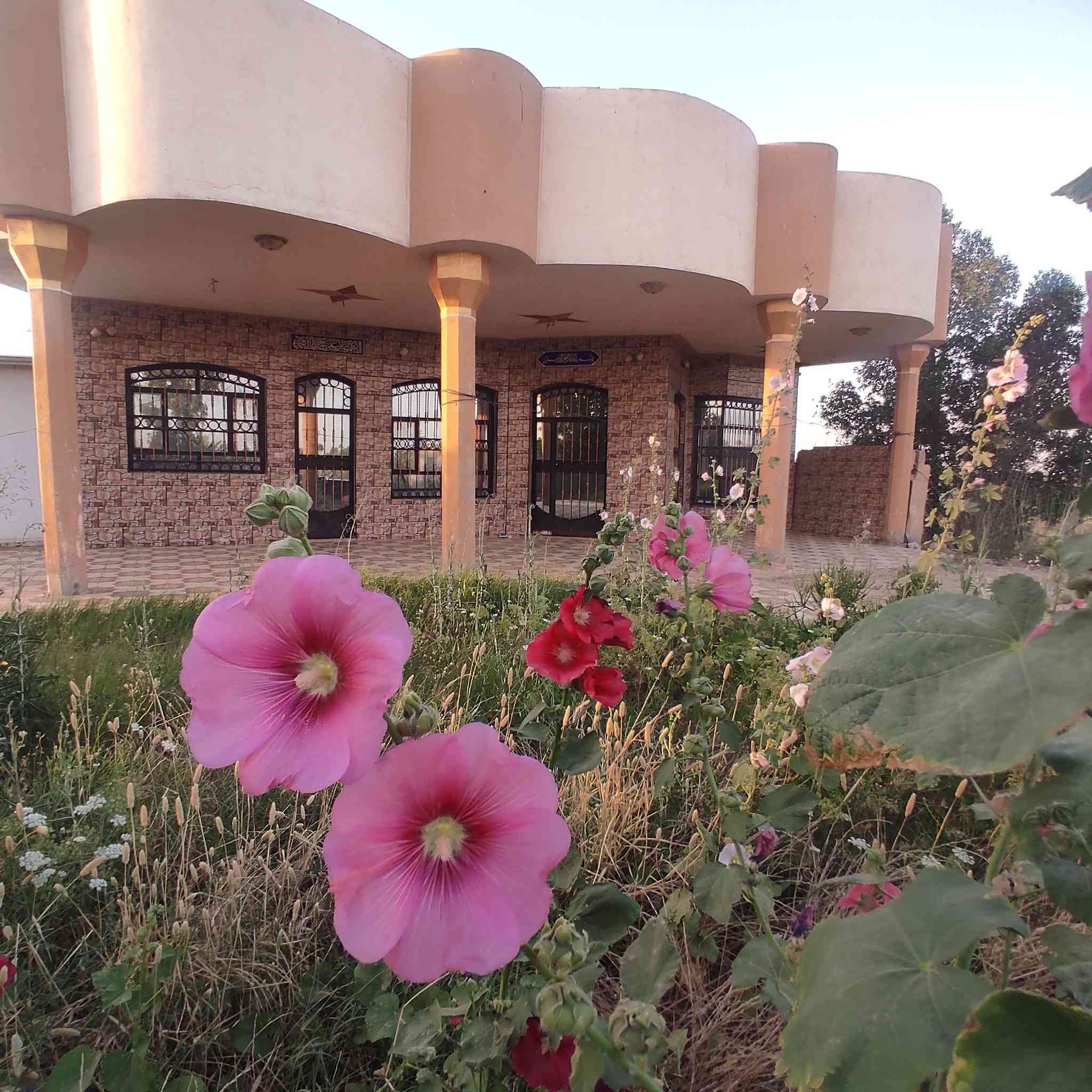 🔥 فرصة مميزة للبيع في بابل / ناحية الشوملي 🔥
🏡 3 دونم مع بيت حديث البناء
🔹 مساحة البيت 300 متر
🔹 بناء طابوق حديث
🔹 طابو زراعي سند 25 مداور مباشر
📍 الموقع: بابل – ناحية الشوملي – قرية الجوادية
✔ على التبليط مباشر
✔ يبعد عن السريع الدولي القديم كيلو متر فقط
⚡ جميع الخدمات متوفرة: 💧 ماء
⚡ كهرباء
🌾 مياه سقي صيف وشتاء من عتاب (نهر الشوملي)
✅ موقع ممتاز وهادئ
✅ مناسب للسكن والاستثمار
✅ واجهة وموقع حيوي قريب من الشارع العام
📞 للتواصل والاستفسار: صلاح السلطاني
***********
اتصال أو واتساب
