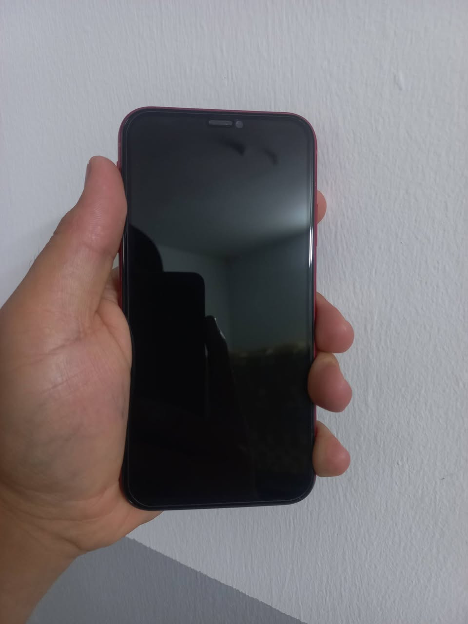 ايفوان 11عادي جهاز جديد ذاكره64 جهاز شخط مابيه
مبدل شاشه 3خيارات فيس ايدي واكف 
وبطاريه 100.   بيه كسر مثل انقطه بلا ظهر 
سيمكارت شغال وايفاي شغال كامرات حيل حلوه تصويره دمعه 
السعر 155 الف وبيه مجال ***********
