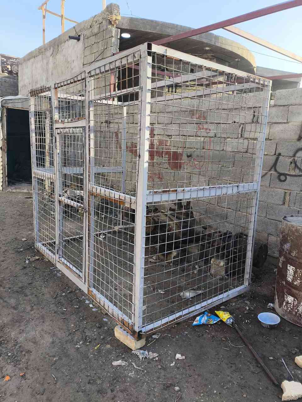 السلام عليكم للبيع قفص واجهيه و صفاح سيم كامل نقص سقف و ينطبك على ستاره مترين في متر ونص و رتفاع مترين سعر قفل 100 الف مستعجل على بيع لا احد يكلي اجيك ظهر و اجيك العصر و حجزلي مليت من الوعود الكاذبه و من تكله ليش ما جيت على موعد يموتون اثنين من خواله واحد من عمامه  مكاني الفلوجه قرية المختار ***********. ***********
