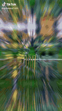 � تنظيف وتنسيق وتسميد الحدائق – خدمة احترافية لحديقتك! 🌿
خلّي حديقتك تتجدد… واحنا نهتم بالباقي!

✅ تنظيف كامل للحديقة – إزالة الأعشاب، ترتيب الأرض، جمع النفايات
✅ تسميد عضوي 100% – باستخدام كومبوست ORGANIC ALRABEE FARM
✅ تنسيق وزراعة – قص الأشجار وتشكيل المساحات الخضراء
✅ مكافحة آمنة للآفات بدون أضرار على الأطفال أو الحيوانات
✅ أسعار مناسبة – شغل مرتّب ومضمون

📞 للحجز والاستفسار (واتساب): ***********
📍 النجف الأشرف – الكوفة المقدسة

✨ معانا… حديقتك تصير أجمل وأنظف 🌱
