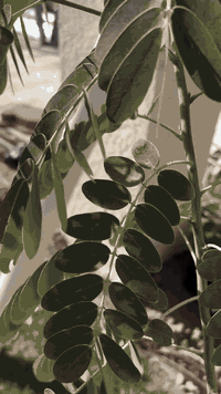 جزء من اعمالنا ومن الله التوفيق ***********
