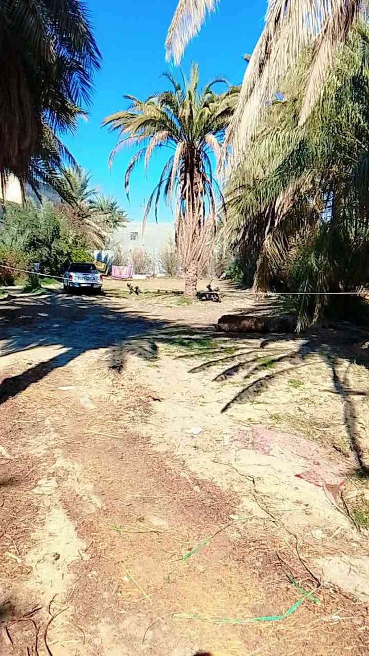 السلام عليكم دونم للبيع 117 المكان كوت ***********
