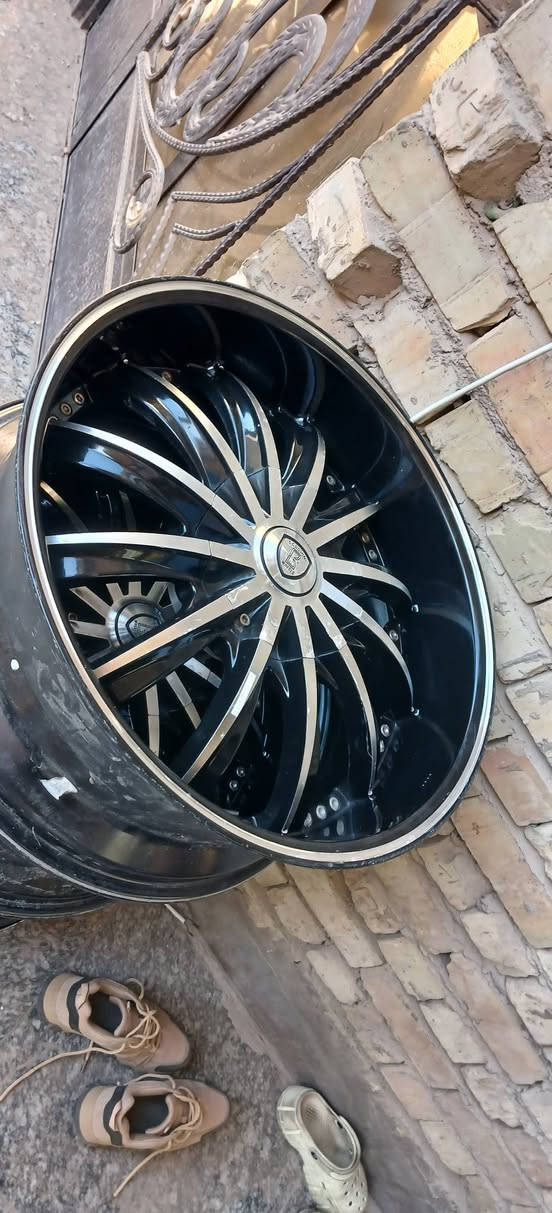 السلام عليكم ويل جارجر جالنجر وابامه رياضي حجم ٢٠  للبيع اومراوس بغير ويل الويل امريكي اصلي مكفول من عواج ولحيم الشراي يتصل *********** العنوان بغداد البلديات
