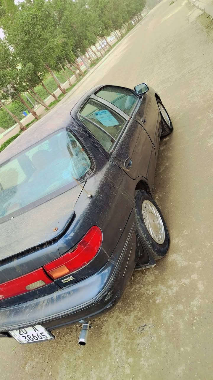 للبيع او مراوس  سعر 30
جاهزه خير من الله 

ديالى بعقوبه 

***********
