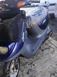 منغولي • نضيفه • للبيع