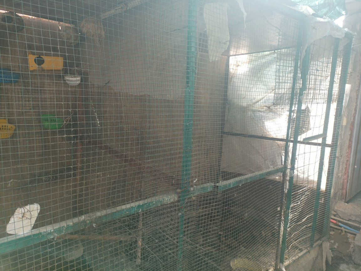 محمية للبيع كبيرة 
شهربان 
السعر 180
***********
