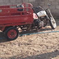 ستوته • شغاله • الجدعه