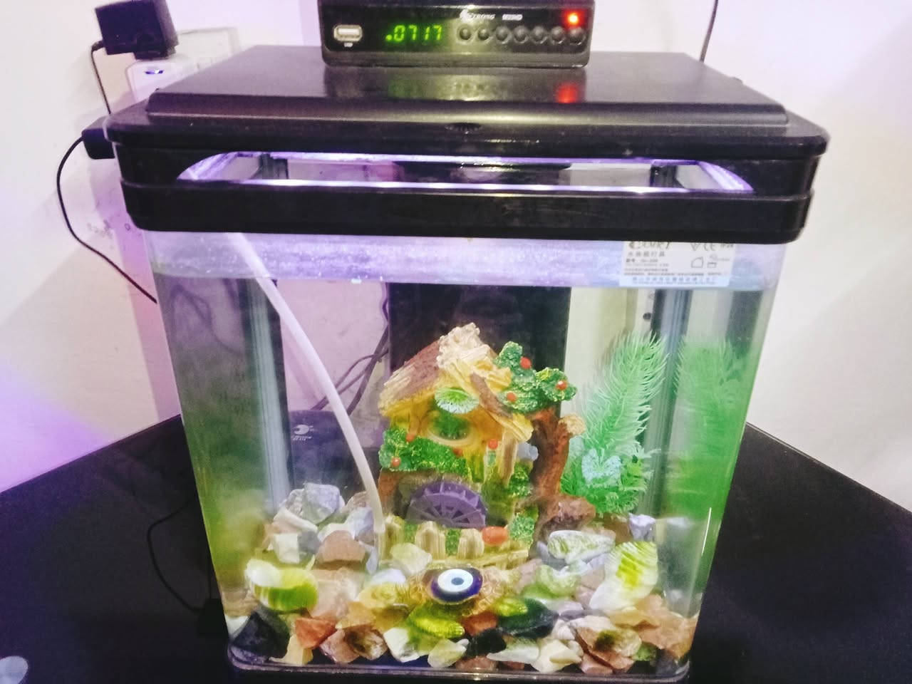 السلام عليكم حوض سمك للبيع السعر 35 مع الماطور والغراض مالته الحصو والنافوره اللي بداخله مكان بغداد رقم تليفون واتساب ***********
