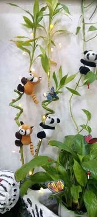 ❤️لكثرة الطلبات 🌹 🪴يتوفر لدينا جميع اكسسوارات نباتات وسنادين بلاستك نو...