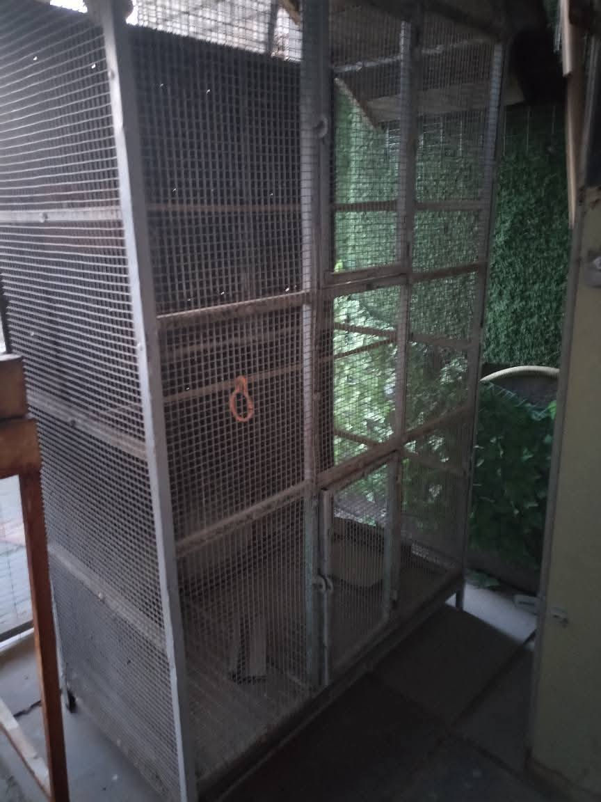 السلام عليكم اخوتي الاعزاء بيت طيور حديد شغل درجه اولى فول دبل باب جرارة تنظيف سقف خشب ديكور عرض متر وارتفاع مترين ونزال 50سم
المكان بغداد تقاطع درويش. التراث هاتف ***********
