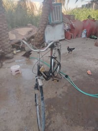 البيع 07882449423 السعر ٤٠