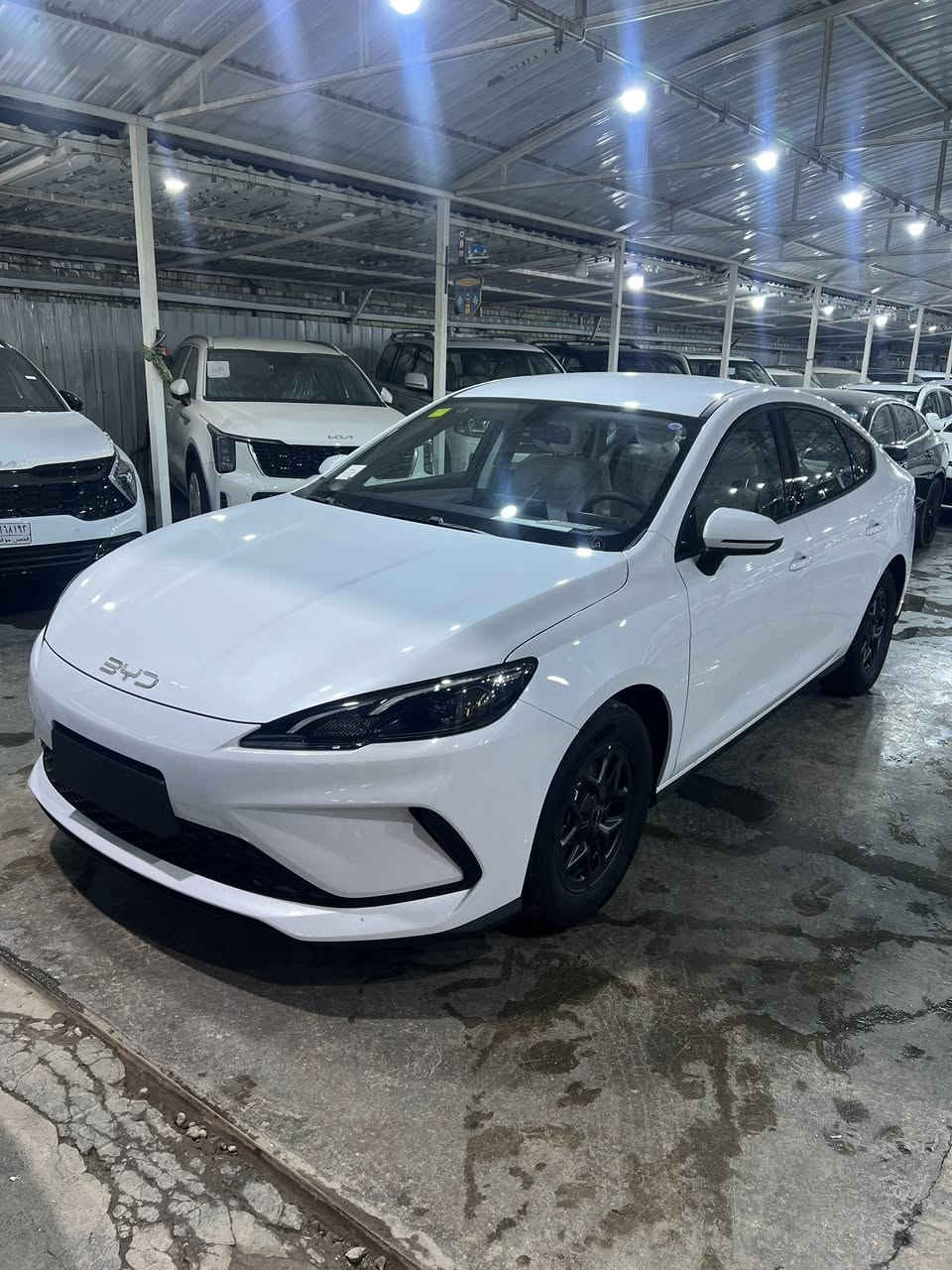 ‼️متوفر كافة فئات سيارات BYD زيرو‼️

✨بي واي دي ديستروير ( فتحة+بدون فتحة)
✨بي واي دي كين بلاس 
✨بي واي دي سيل 05
✨بي واي دي سونغ برو
✨بي واي دي سونغ L

⬅️((متوفر مرقم لوحة وسنوية + بدون رقم))➡️

العنوان: بغداد الكريعات شارع الوقف السني معرض الفرقان لتجارة السيارات

للتواصل والاستفسار عن الاسعار
اتصل على الرقم المثبت او الارقام ادناه
***********
***********
***********
