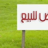 طابو ملك صرف • ١٢٥م • مقاطعة ١٦٠/١١٥