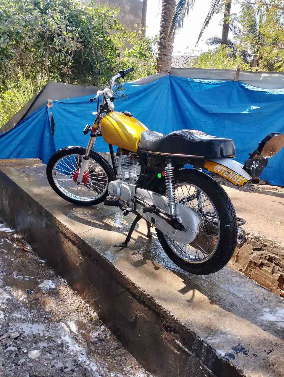 من رخصت صاحب لكروب هل محروسه انتنس24 كلك محرك مبدل بيه بس كوين رايده ب400 هل صور بدون فلاتر مو شراي لاتعبني فدوه لوجهك متواجد عل فيس وليريد يتصل عل رقم***********
