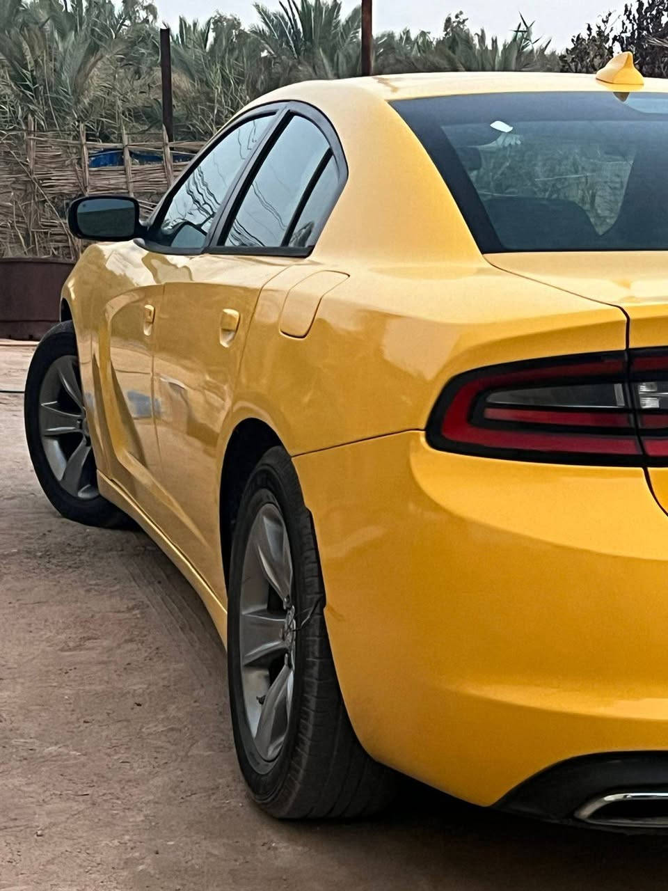 سلام عليكم جارجر SXT مديل 2016 مسجل 2020 باسمي رقم بغداد خطها كربلاء / بصره مواصفاتها معروفه حادثها مال امريكا جاملغ وبنيد وبل عراق باب السايق مبدل والاصلي موجود تخم تاير صاره سبوع حداديه امامي خلفي جديد كير مكينه خير من الله ما مفتوح برغي صبغه جديده تراي وين ميعجبك مكانها كربلاء 175 وبيها مجال  ***********
