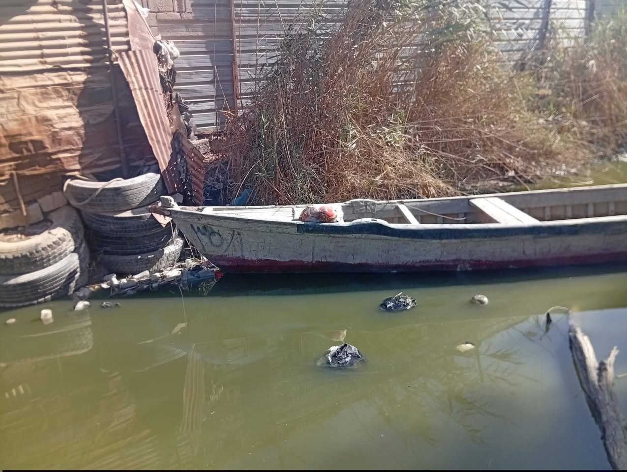 سلام عليكم مكينه 15سازوكي ابيع مفتوحه السازوكي ... ومارنر 15والمارنر مامفتوحه وجناكو 2وحده فافون 7متر وحده فايبر 8متر السعر مليون وسبع مئه وخمسون 1750وبيهن مجال للشراي *********** اتصال وتساب وخط
