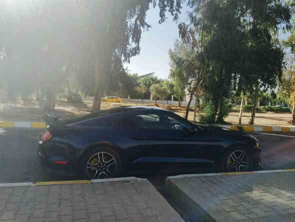 للبيع موستنك ايكو 2018
الحادث مرفق 2 ونص
بجم كبس وبدون ايرباك
ماشية 170 كم

السعر 140$
عنواني كركوك
***********
