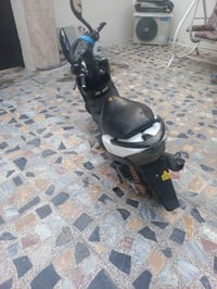 ماكس عدلة • زينون • ديجي