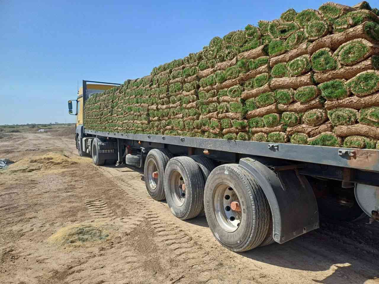 سلام عليكم ورحمه الله وبركاته+موجود انواع ثيل طبيعي وخدمه توصيل جميع محافظات وشتردون  وسعار مناسبه وتدللون تصل وتدلل+***********
