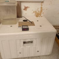 فقاسة 60 بيضة • تقليب يدوي • قضاء الإصلاح