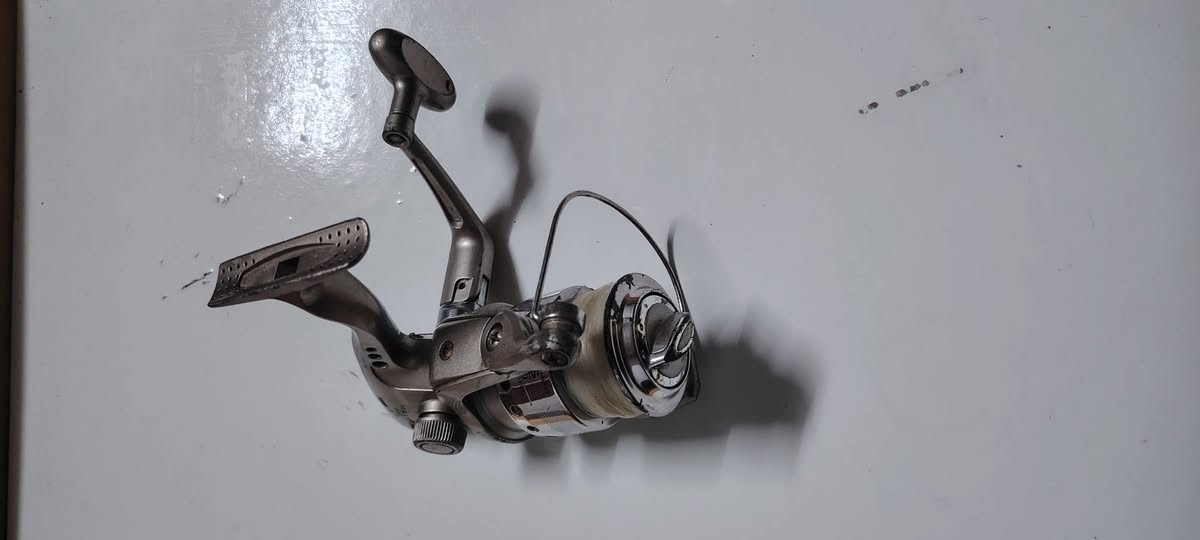 بيع شلعه ويا التوصيل٦٥الف


**إذا كنت صاحب هذا الإعلان وتريد حذفه لأي سبب، رجاءا أرسل رسالة إلى الدعم الفني**