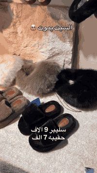 التوصيل داخل المنطقه مجاني 🩵
