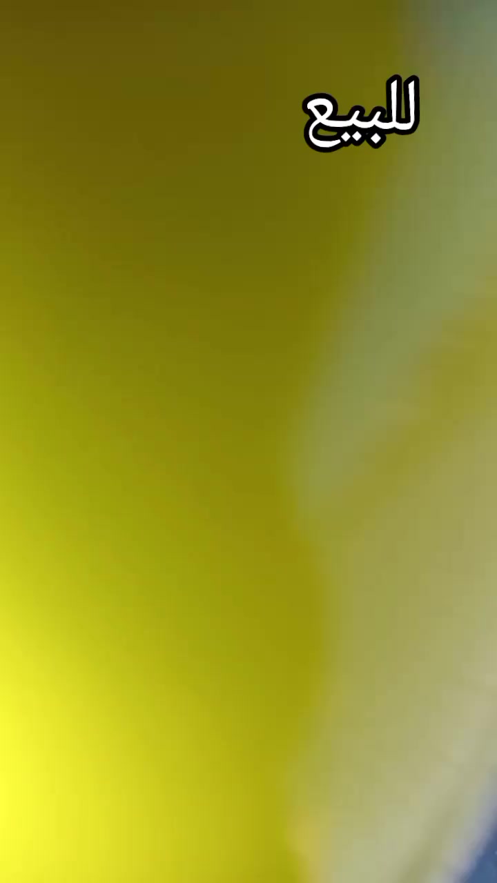 للبيع مكاني نجف


**إذا كنت صاحب هذا الإعلان وتريد حذفه لأي سبب، رجاءا أرسل رسالة إلى الدعم الفني**