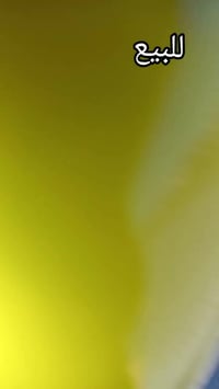 بسكليت • نجف