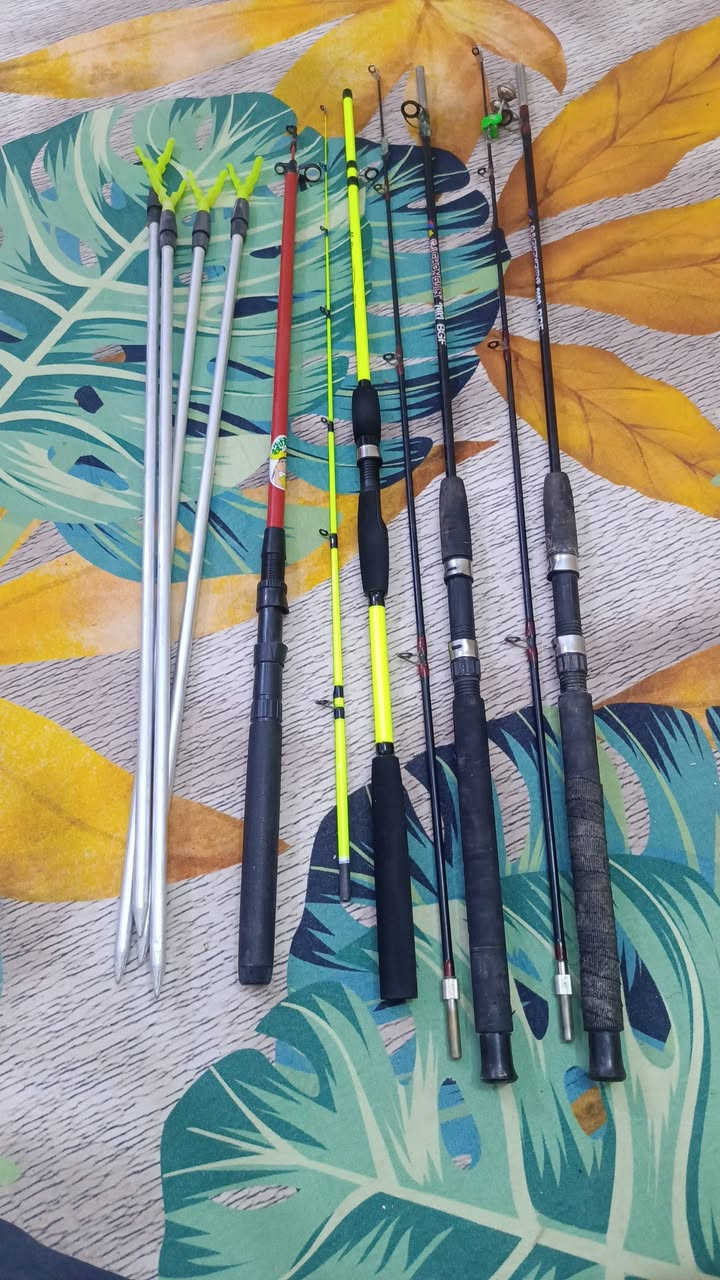 سلام عليكم خلي سعر وبالعافيه 4 عصي صيد تردون كلهن شلع او تردون مفرد منهن هم موجود


**إذا كنت صاحب هذا الإعلان وتريد حذفه لأي سبب، رجاءا أرسل رسالة إلى الدعم الفني**