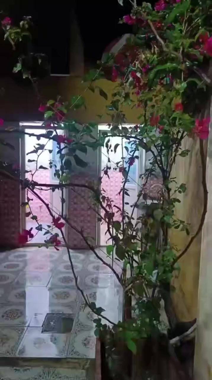 السلام عليكم بيت للبيع في حي الحسن طريق ابو الماش يبعد عن الطابو 40متر بدايت الفرع ثاني بيت للستفسار 📞***********
