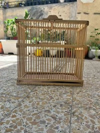 قفص كوكتيل • قفص بلبل • كربلاء