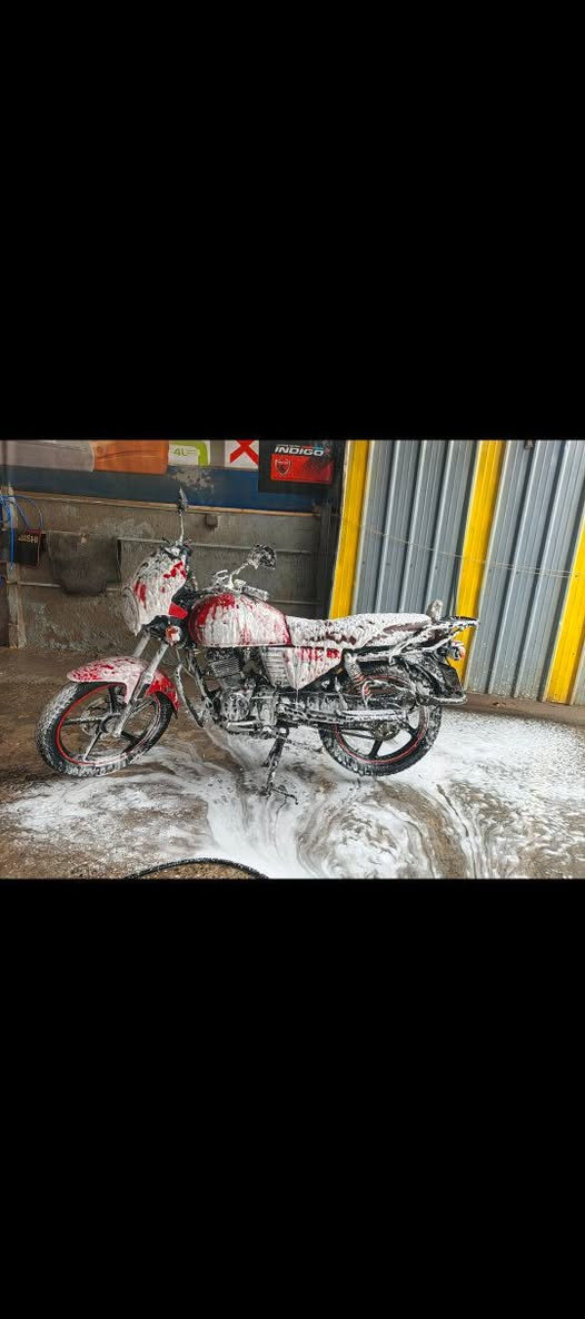 دايوان نفخ 2023 للبيع كفاله عامه سنويه ديالى تحويل شوكت متريد السعر 2200 قفل ***********
