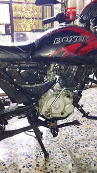 بوكسر جبلي • موديل 20/21 • اوراق موجوده