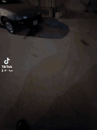 سلام عليكم سياره كورولا موديل 95 مكفوله من الكص والنقل الون ذهبي سياره جاهزه حداديه جديده بس جراد شوي  مكان سياره بصره حي الحسين سعر 43 رقم الجوال ***********.
