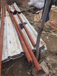 بوريات وجينكو للبيع جينكو نوعيه الزينه 07826401828