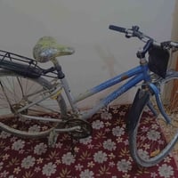 باسكل جبلي • باهله