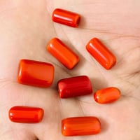 شلع • قطع • للبيع