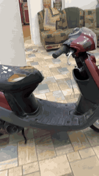 للبيع مأطور بوتين مرقم 07703329445 السعر مليون و300