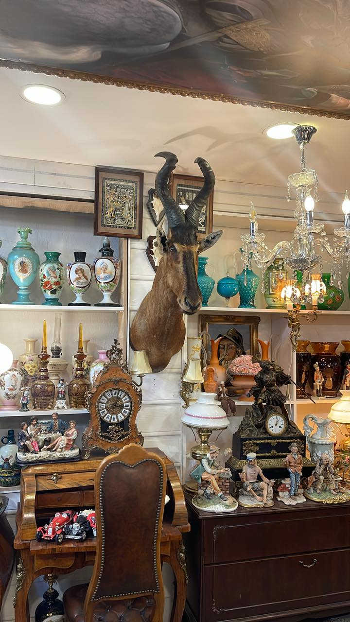 مجموعه من التحف الطبيعي الكندي قديم محل سليمانيه  سروري توصيل موجود *********** وات ساب
