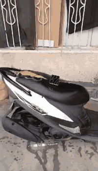 سلام عليكم ورحمة الله ماكس للبيع بلادي ٤٩ مكينه خرسه كهربائيات كلها شغاله مابيها نقص اكلوب مابيها كله شغال ومكينه مامفتوحه سلولي أخرس تايرات باتري جدد لاحد يسئلني شبيها نقص ٦٠٠ وبيها مجال قليل ***********
